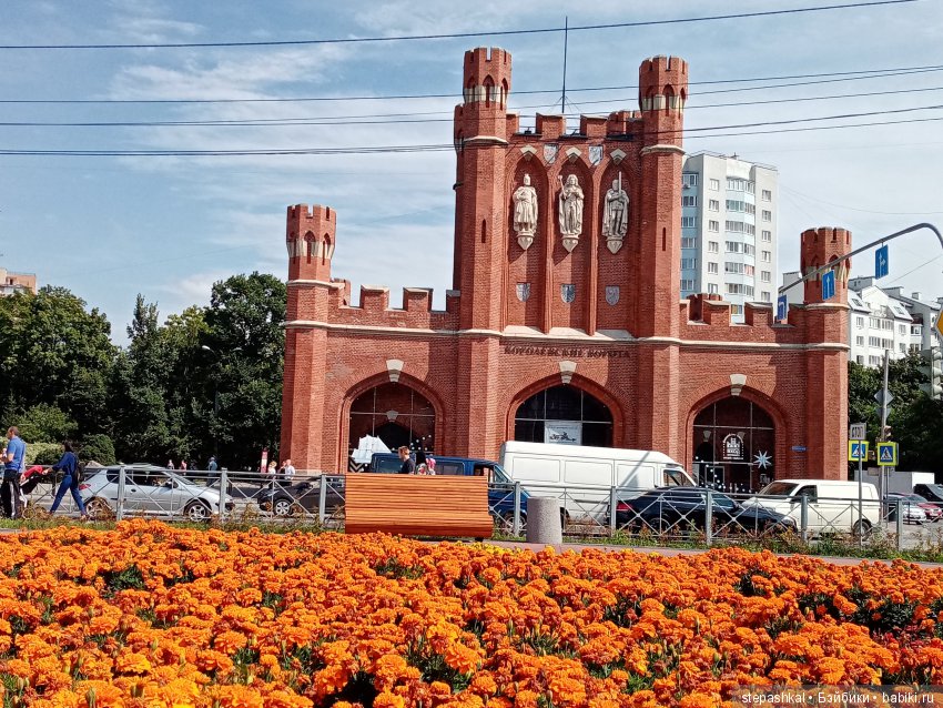 Кенигсберг глазами потомка прусских котов