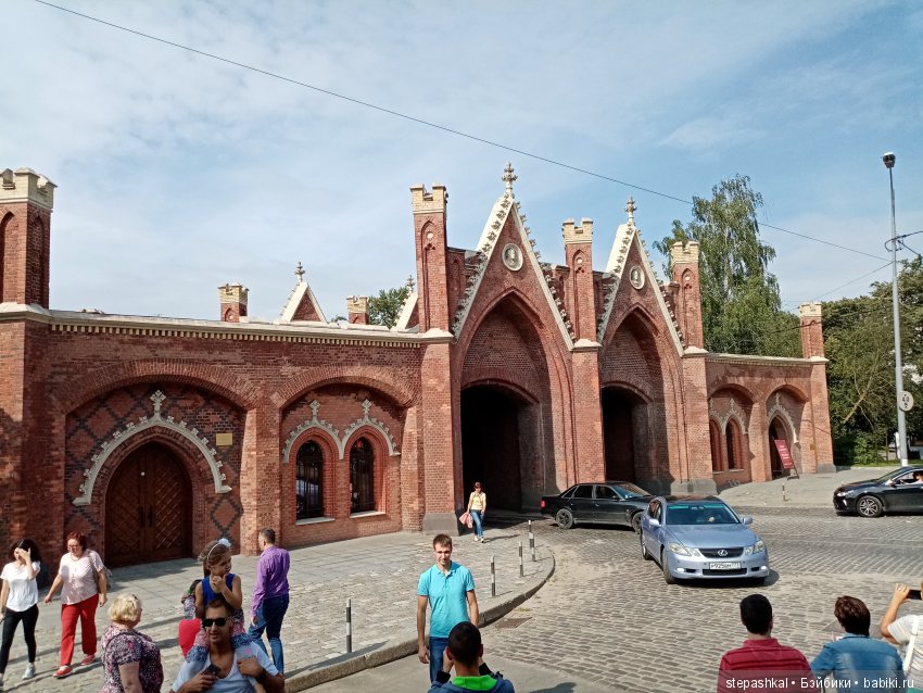 Кенигсберг глазами потомка прусских котов