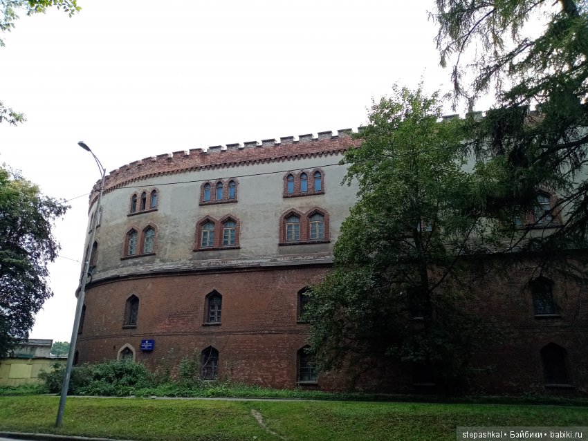 Кенигсберг глазами потомка прусских котов