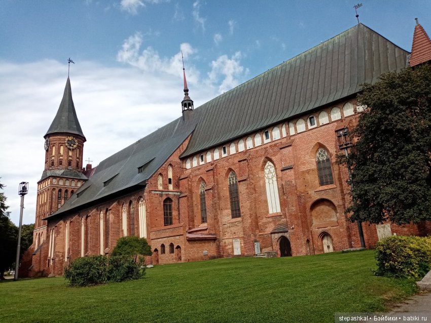 Кенигсберг глазами потомка прусских котов