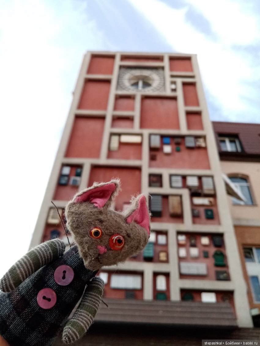 Кенигсберг глазами потомка прусских котов