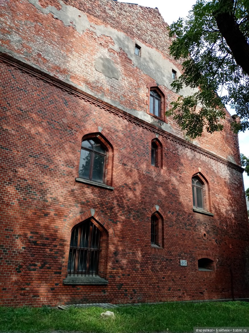 Кенигсберг глазами потомка прусских котов