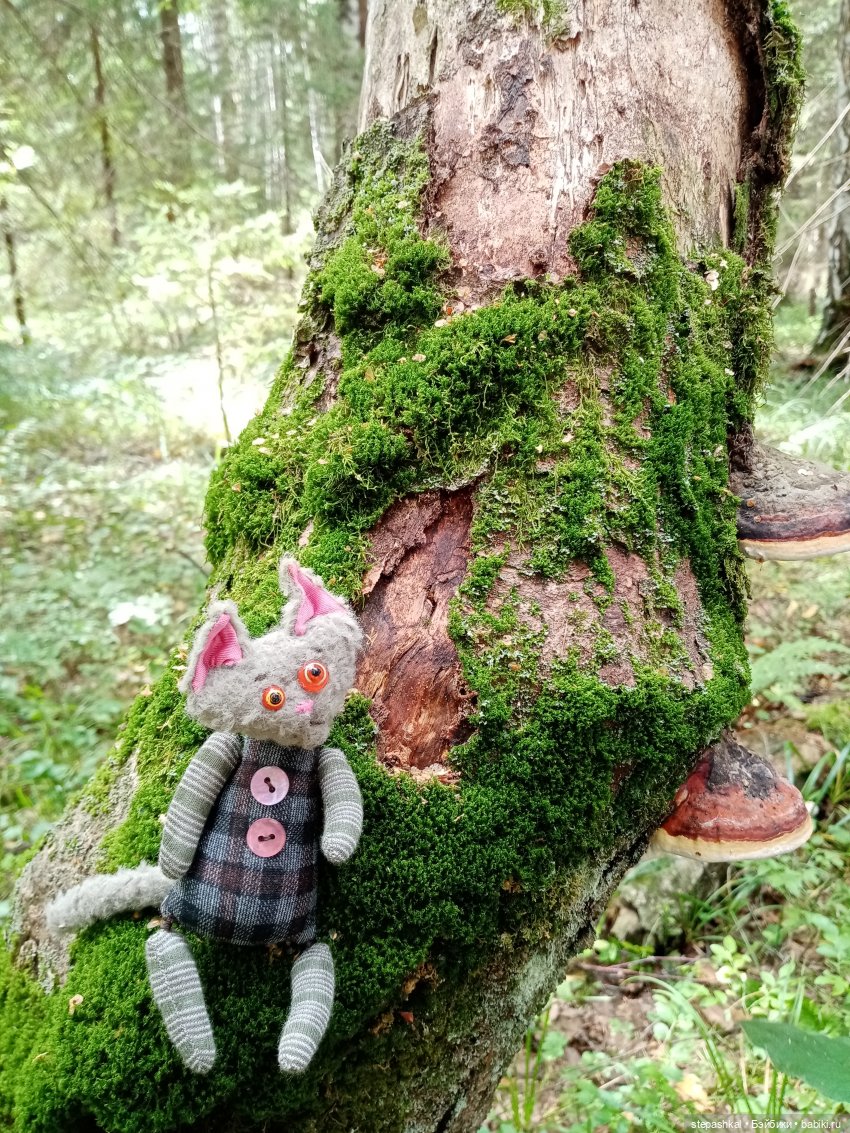 Три кота и один Такс — Домашние фото авторских игрушек: Тедди (фото 5)