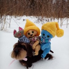 Три кота и один Такс