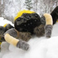 Пять лет в кустах и немного о пауках