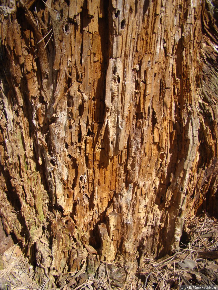 Новые одёжки для Ай. Готовимся к осени и даже к зиме