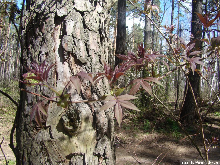 Новые одёжки для Ай. Готовимся к осени и даже к зиме (фото 2)