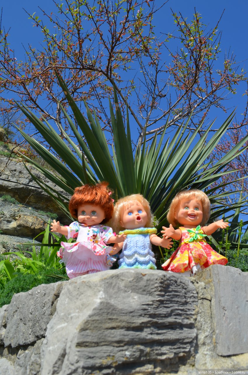 Голубушки на прогулке у моря