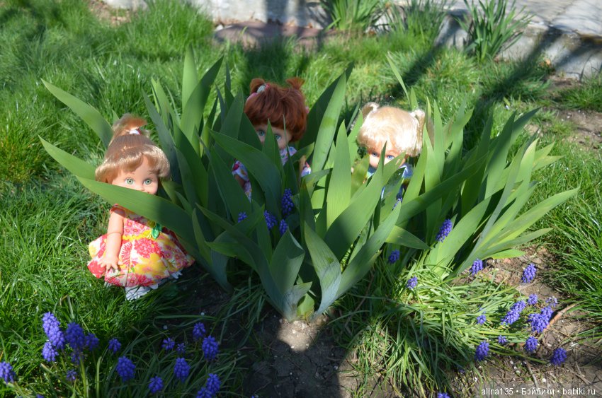 Голубушки на прогулке у моря (фото 5)