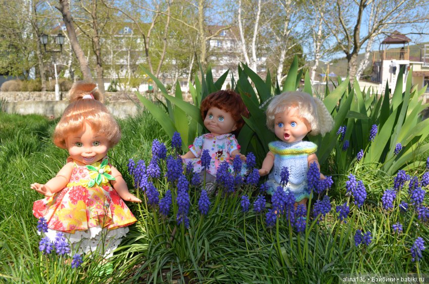 Голубушки на прогулке у моря (фото 3)