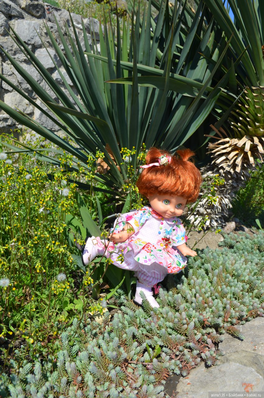 Голубушки на прогулке у моря