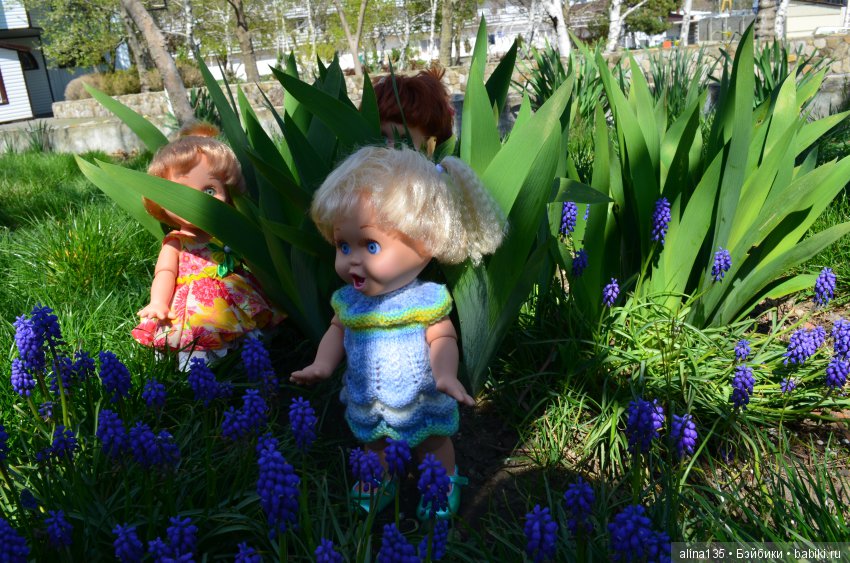 Голубушки на прогулке у моря (фото 4)