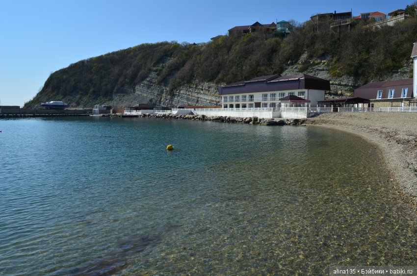 Голубушки на прогулке у моря