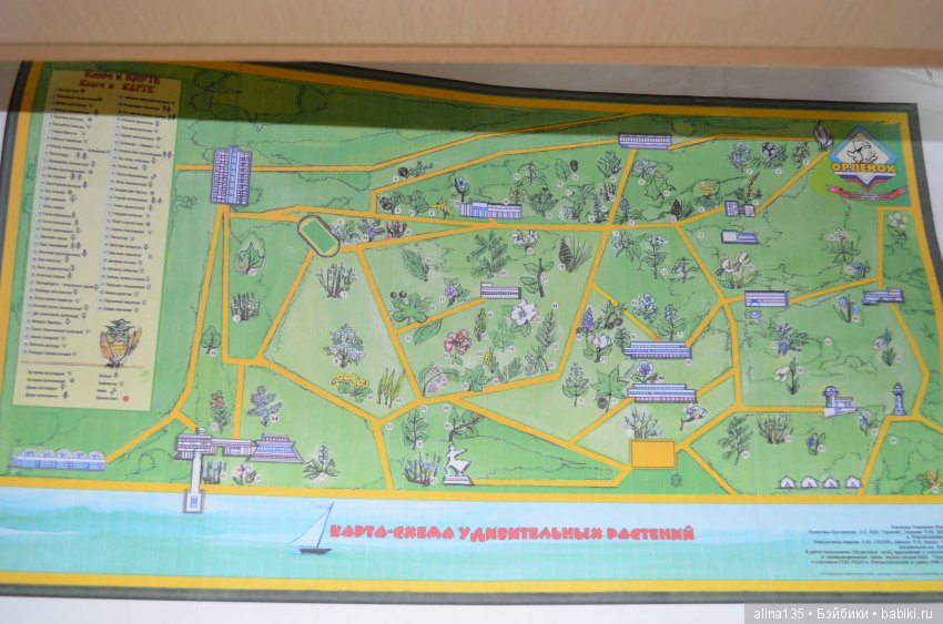 Библионочь с куколками — Выставки кукол и мишек Тедди: фоторепортажи