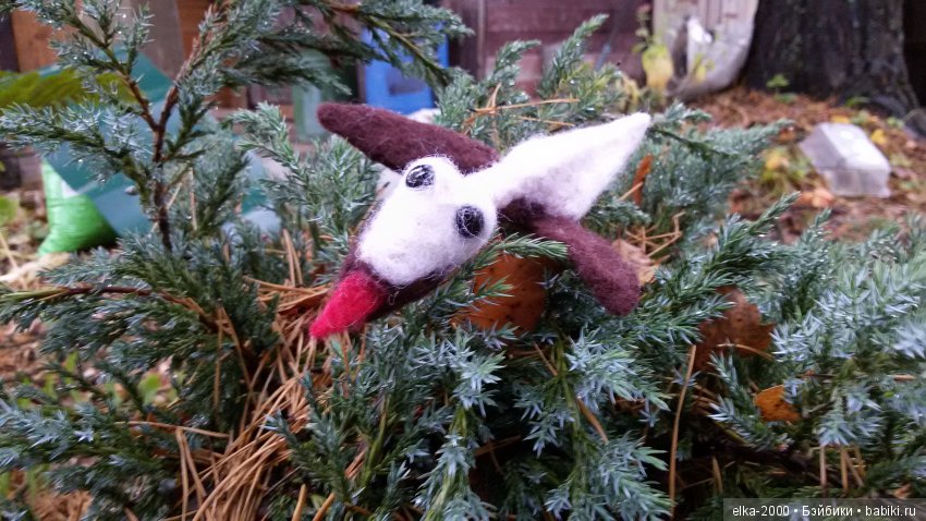 Как Проша с чудо-юдом познакомился