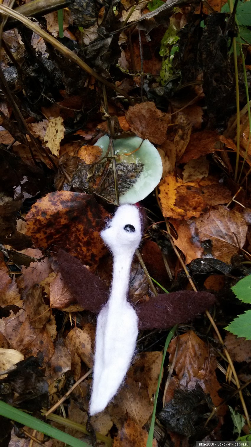 Как Проша с чудо-юдом познакомился (фото 5)