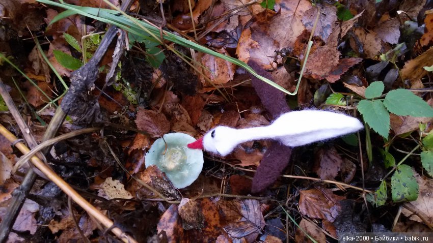 Как Проша с чудо-юдом познакомился (фото 6)