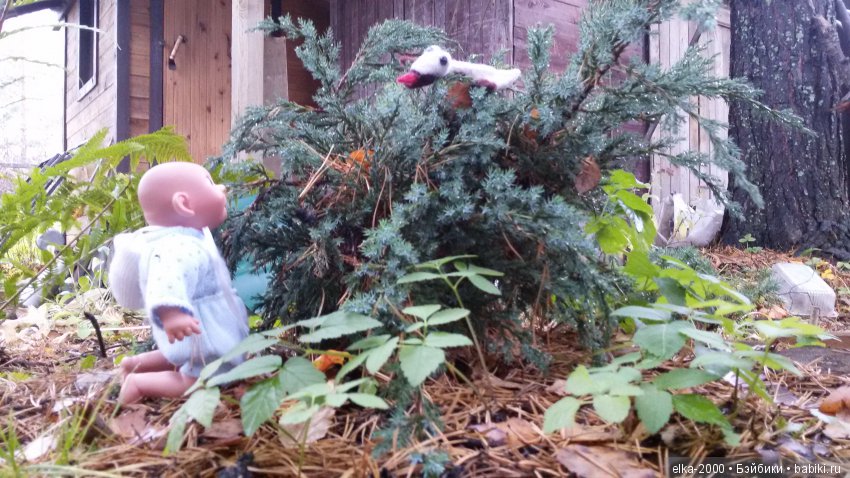 Как Проша с чудо-юдом познакомился (фото 2)