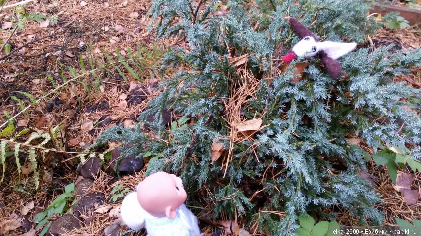 Как Проша с чудо-юдом познакомился (фото 3)