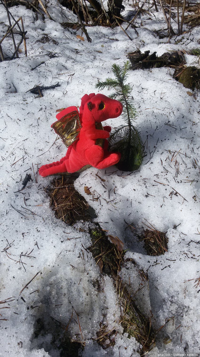 Баба-яга на выгуле — Куклы Carmen Gonzalez (Кармен Гонсалез): Мариетта (фото 5)