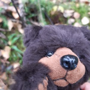 Моя семья и другие звери