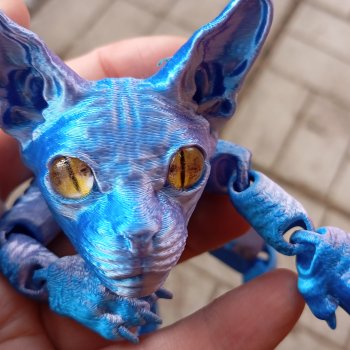 Голубой, голубой или день котиков