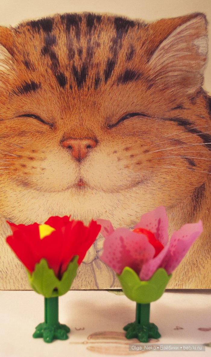 На их аромат бегут довольные коты.