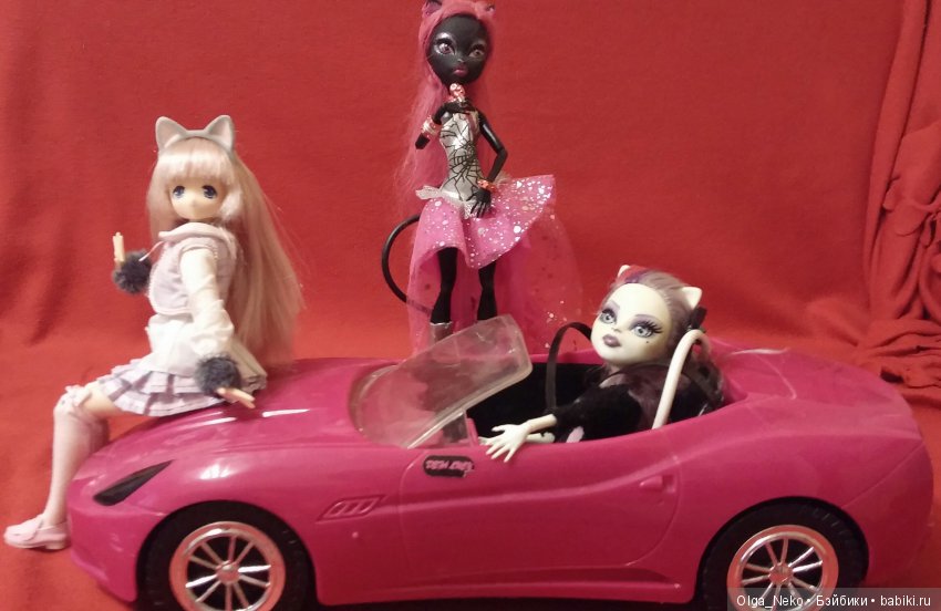 Ах, Алиса! Вот мы и встретились (фото 3)