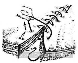 Парик из шкурки козы — Одежда и обувь для кукол BJD (БЖД): 1/3 (фото 9)