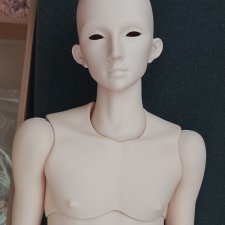 Dollshe Aramis голова.