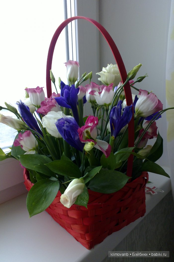 Моя Весна — Куклы Berdine Creedy (Бердин Криди): виниловые (фото 6)