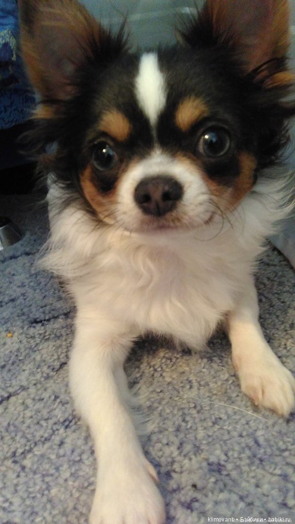 Отпуск. Море. Счастье — Болталка и разговоры обо всем: жизнь