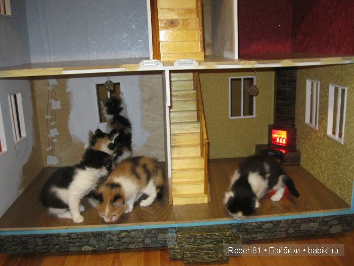 Первые гости