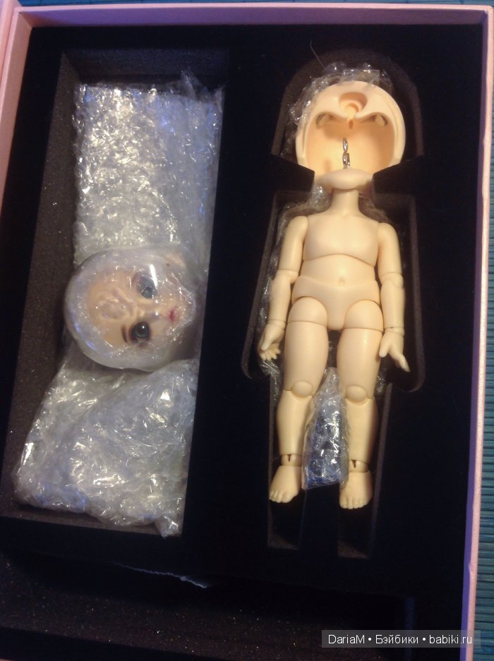 Маленькая леди Pukifee Mio, Пукифи Мио (фото 2)