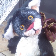 Вайо, котёнок-тедди