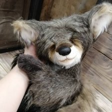 Ручной волчонок Wolf