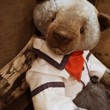 Мишка-тедди, влюблённый в море