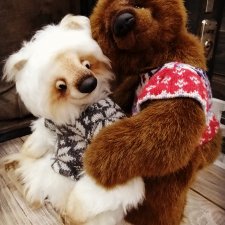 Друзья мишки-тедди Snowy & Bryan