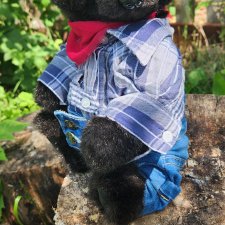 Tobias  мишка-тедди