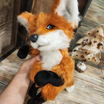 Rolf-ручной лис