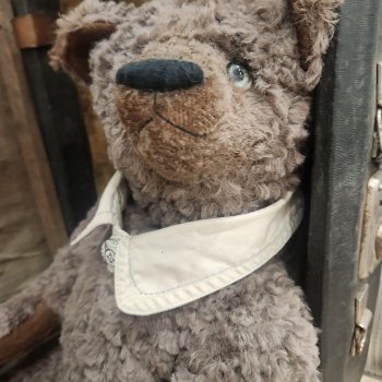 Бруно-медведь с историей...