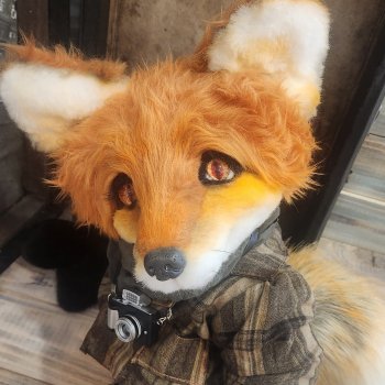 Люмьер (Lumiere)- лис-фотограф