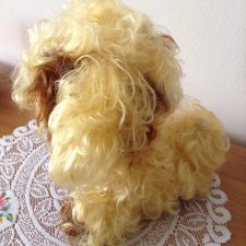 Песик из детства