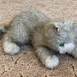 Большой кот СССР, очень редкий