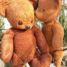 История о Потапычах