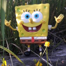 Если не куклу,то что?