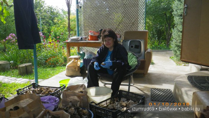 Как мы съездили за грибами