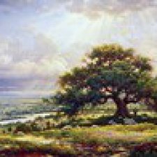 Моя вышивка "Под солнечными лучами"