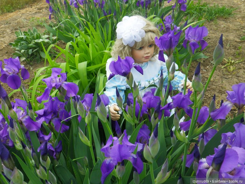 Паула от Вирджинии Тернер на прогулке