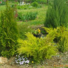 Мой прекрасный сад